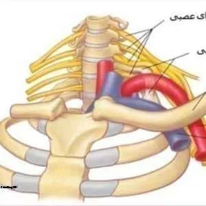 Nasiri Varzaghani Ozone therapy Salon (1) سالن دکتر نصیری ورزقانی بهترین سالن اوزون تراپی در جنوب تهران