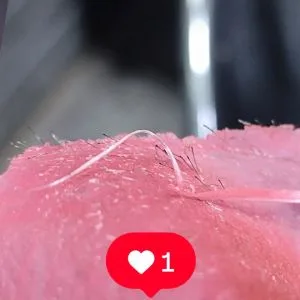 chitra Waxing Salon (2) سالن اپیلاسیون چیترا بهترین سالن اپیلاسیون در غرب تهران