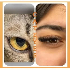 Sadaf beauty salon (4) سالن زیبایی صدف بهترین سالن زیبایی در لاهیجان