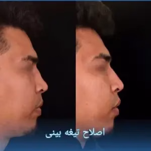 drgholamrezamajlesi (1)