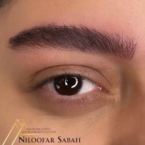 niloofar sabah academy آموزشگاه تتو نیلوفر صباح بهترین آموزشگاه تتو در اصفهان