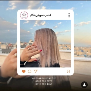 نگار پینک کاستل