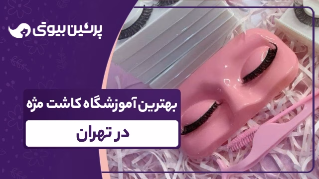 بهترین آموزشگاه کاشت مژه در تهران