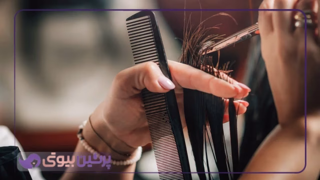 برای دریافت مدرک معتبر، کدام آموزشگاه ها مناسبند؟